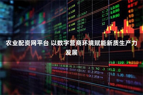 农业配资网平台 以数字营商环境赋能新质生产力发展
