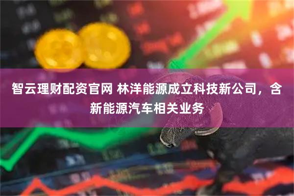 智云理财配资官网 林洋能源成立科技新公司，含新能源汽车相关业务