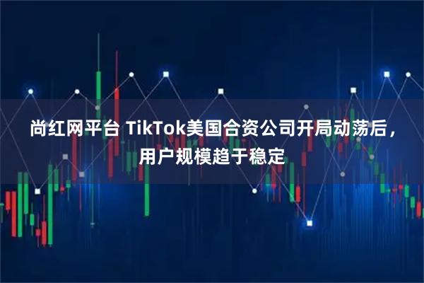 尚红网平台 TikTok美国合资公司开局动荡后，用户规模趋于稳定